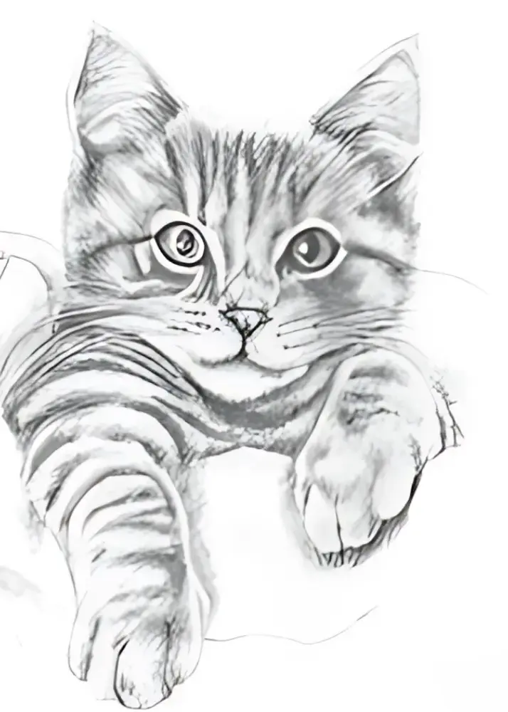 Class Images 2 - 2025-11-19T230239.994