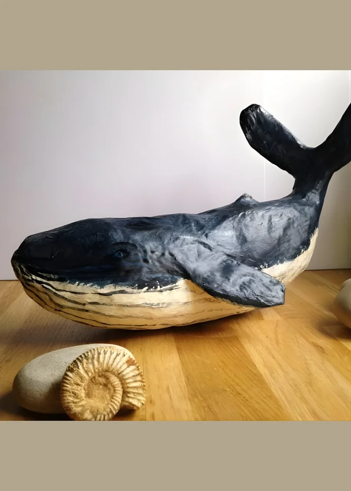 Class Images 3 (15) (3)