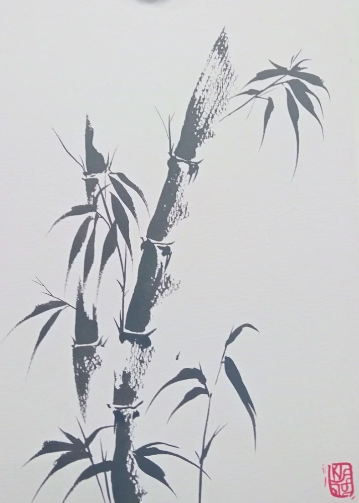 Copy of Class Images 3 (2) (5)